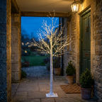 Birch tree lights at a sheltered British cottage entrance in the evening
