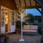 Birch tree lights on a sheltered UK garden terrace at dusk
