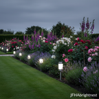 Rowan solar LED garden stake lights along herbaceous border with foxgloves and roses in UK garden at dusk with JFHAbrightnest branding