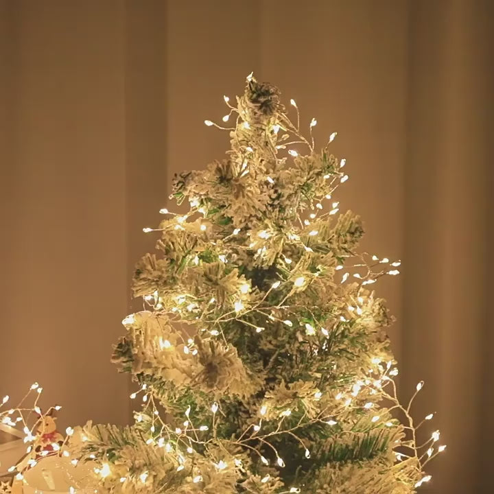 Nova firecracker cluster Christmas lights video