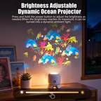 Brightness adjustable rotating projector night light dimmed to a soft glow
